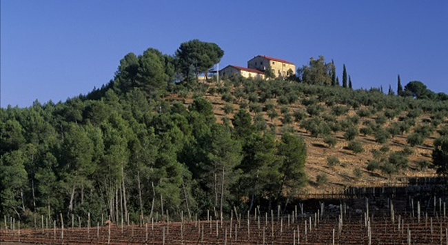 2ebdafc4-14c8-4057-9f2e-3fe7a2941fd1 2ebdafc4-14c8-4057-9f2e-3fe7a2941fd1