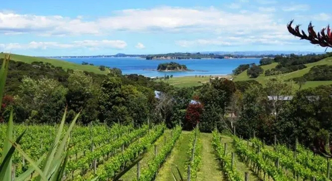 u=2402731536,1019632188&fm=253&fmt=auto&app=138&f=JPEG u=2402731536,1019632188&fm=253&fmt=auto&app=138&f=JPEG