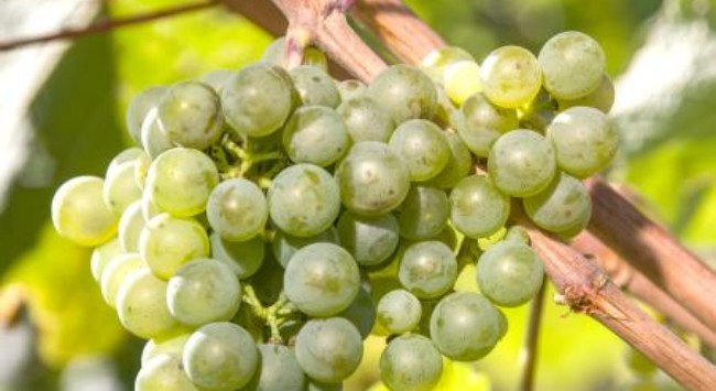 b0727352-c8c5-4662-bd39-5e0884fea618 b0727352-c8c5-4662-bd39-5e0884fea618