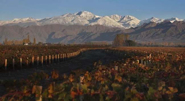 阿根廷門(mén)多薩_650 阿根廷門(mén)多薩_650