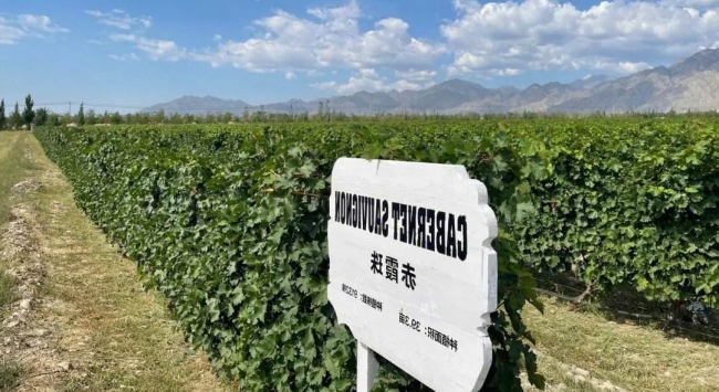 中國(guó)寧夏賀蘭山_650 中國(guó)寧夏賀蘭山_650