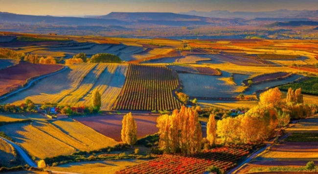 里奧哈產(chǎn)區(qū)風景_650 里奧哈產(chǎn)區(qū)風景_650