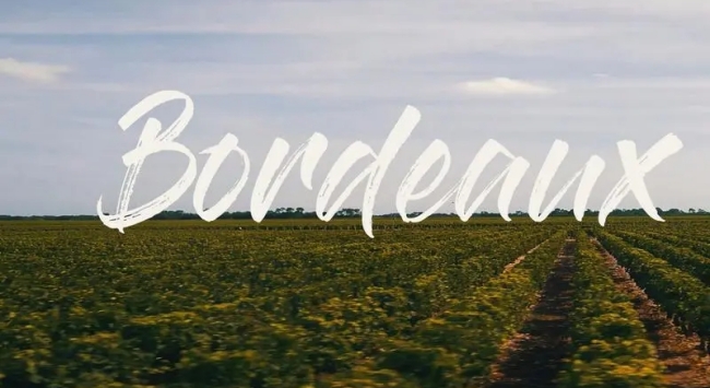 波爾多葡萄園標(biāo)志 波爾多葡萄園標(biāo)志